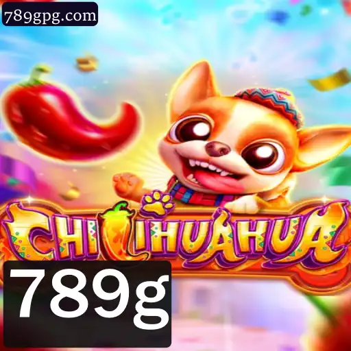 Descubra o Universo Fascinante de CHILIHUAHUA
